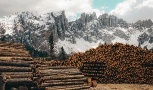 Обложка кейса, обучение для ООО «СИБИРЬЛЕС» Обложка кейса, обучение для ООО «СИБИРЬЛЕС»