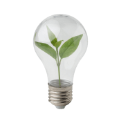 Лампочка с листочком внутри