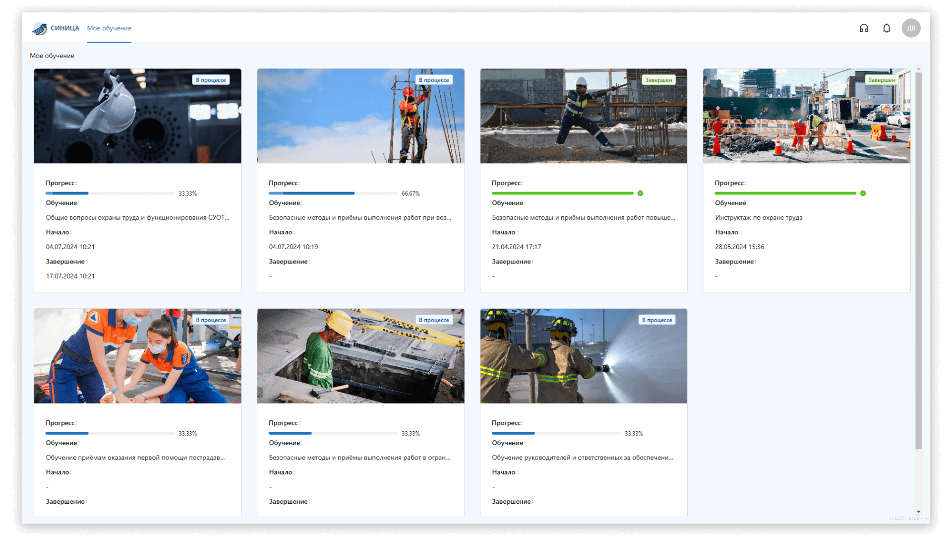 Синица, кастомизация